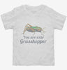 You Are Wise Grasshopper Humor Toddler Shirt 666x695.jpg?v=1700520366